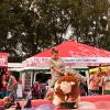 Bullenreiten_002