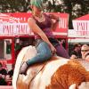 Bullenreiten_016