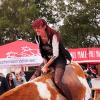 Bullenreiten_037